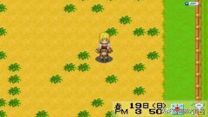 牧场物语gba汉化版下载_牧场物语gba汉化版下载女孩